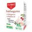 DR Herz Fokhagyma + Galagonya + Olajfalevél 90 db XL
