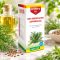 Dr Herz Kapormag olaj 100% hidegen sajtolt 50ml