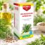 Dr Herz Kapormag olaj 100% hidegen sajtolt 50ml