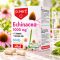 Dr Herz Echinacea 500 mg + C-vitamin + Szerves Cink kapszula 60 db