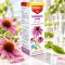 Dr Herz Echinacea csepp C-vitaminnal 50 ml