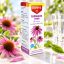 Dr Herz Echinacea csepp C-vitaminnal 50 ml